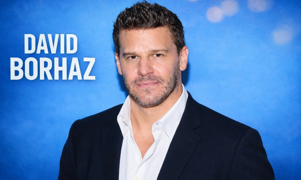 David Borhaz: An In-Depth Look at the Person, Identity, and Influence