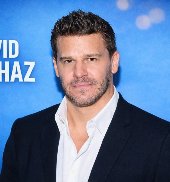 David Borhaz: An In-Depth Look at the Person, Identity, and Influence