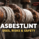 Asbestlint Explained: History, Uses, Risks, and Safety